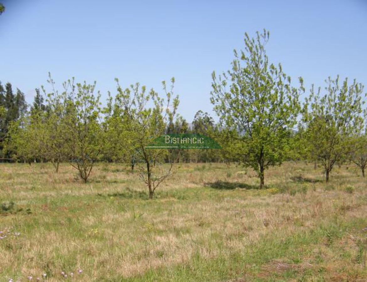 Campo Ref.2828 - Campo en , 