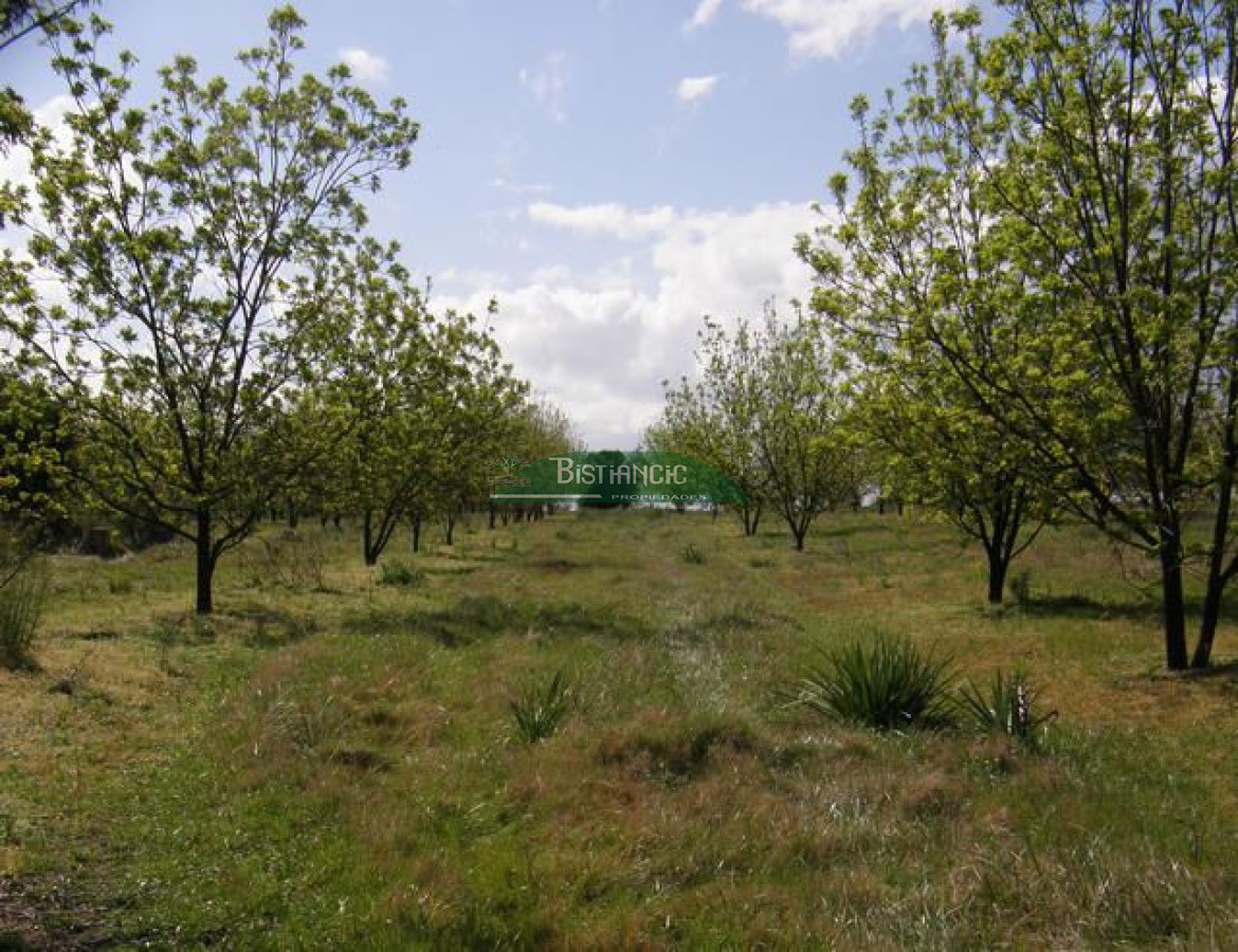 Campo Ref.2828 - Campo en , 