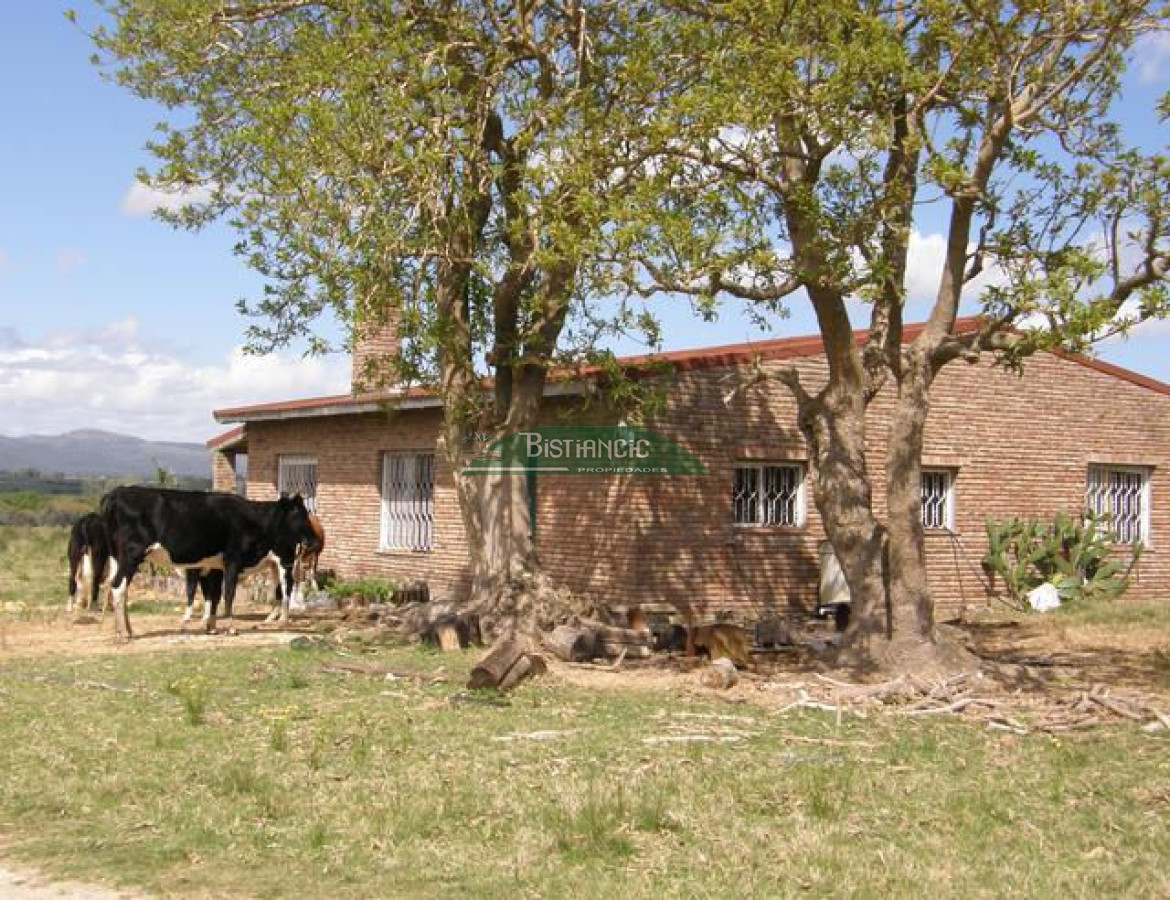 Campo Ref.2828 - Campo en , 