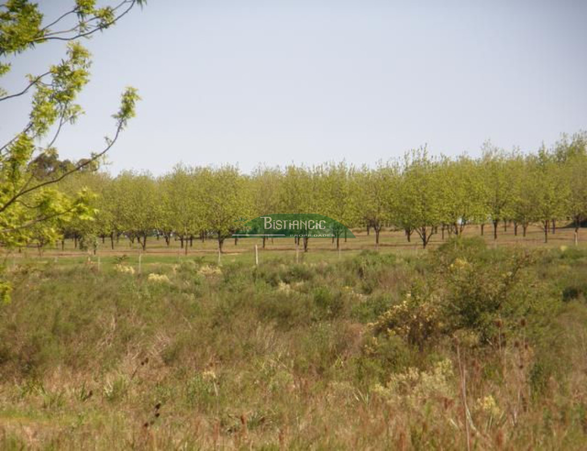 Campo Ref.2828 - Campo en , 