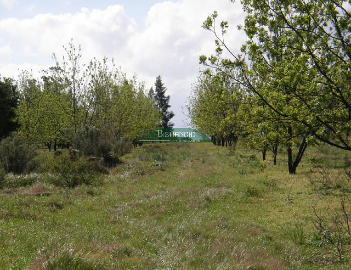 Campo Ref.2828 - Campo en , 