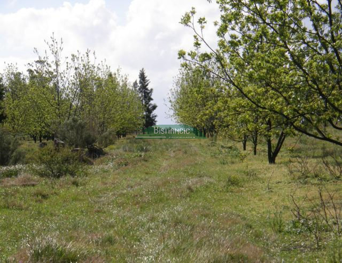 Campo Ref.2828 - Campo en , 