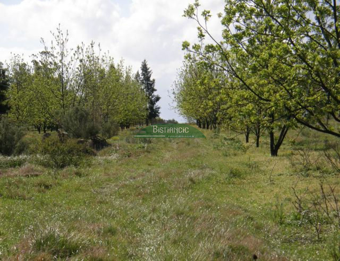 Campo Ref.2828 - Campo en , 