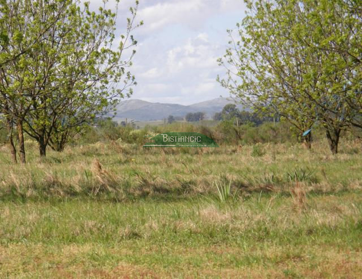 Campo Ref.2828 - Campo en , 