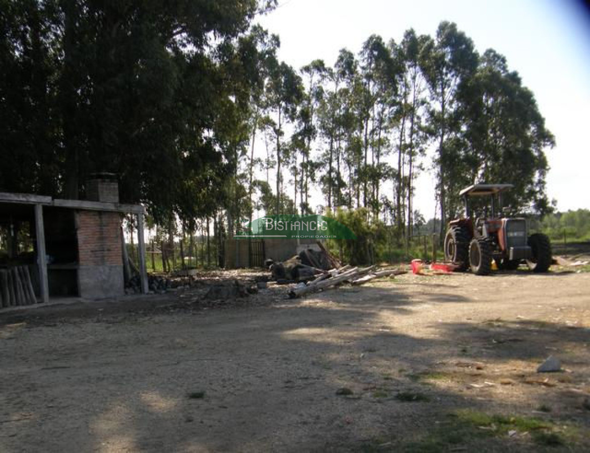 Campo Ref.2828 - Campo en , 