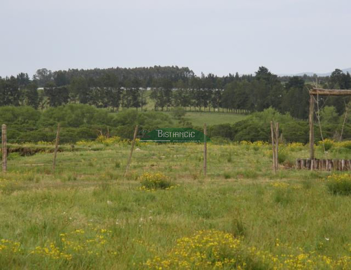 Campo Ref.2828 - Campo en , 
