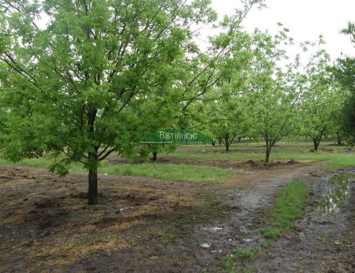 Campo Ref.2828 - Campo en , 