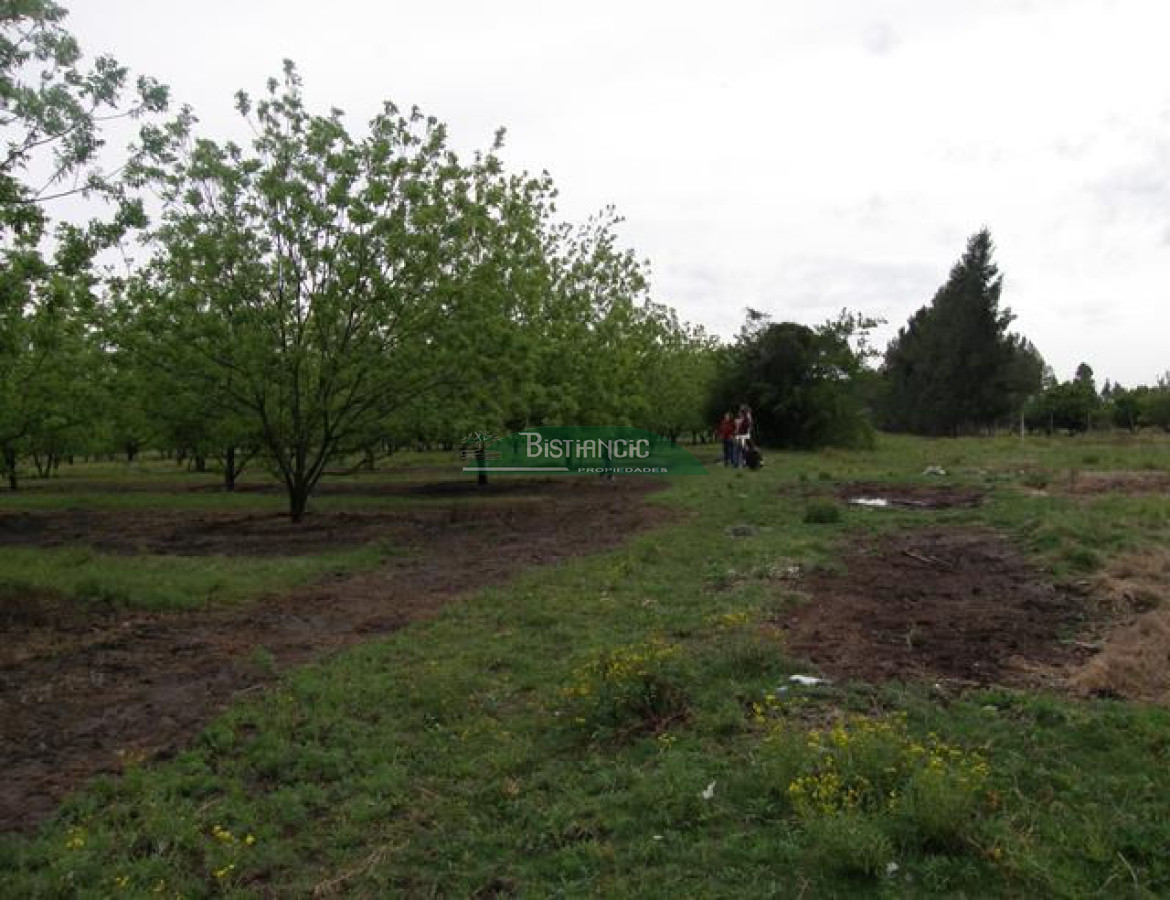 Campo Ref.2828 - Campo en , 