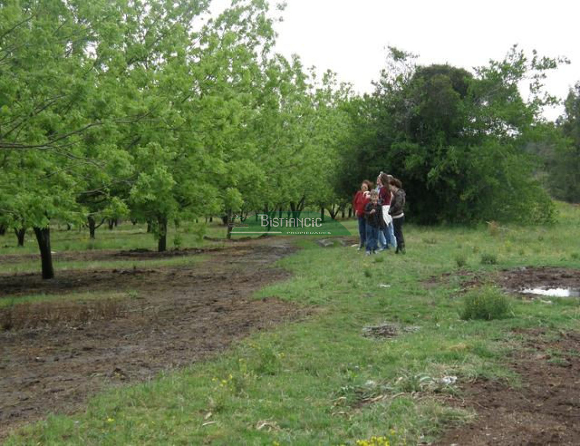 Campo Ref.2828 - Campo en , 