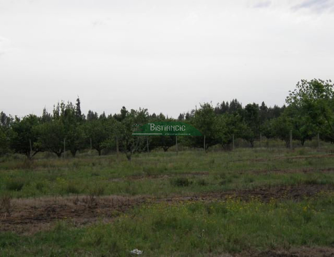 Campo Ref.2828 - Campo en , 
