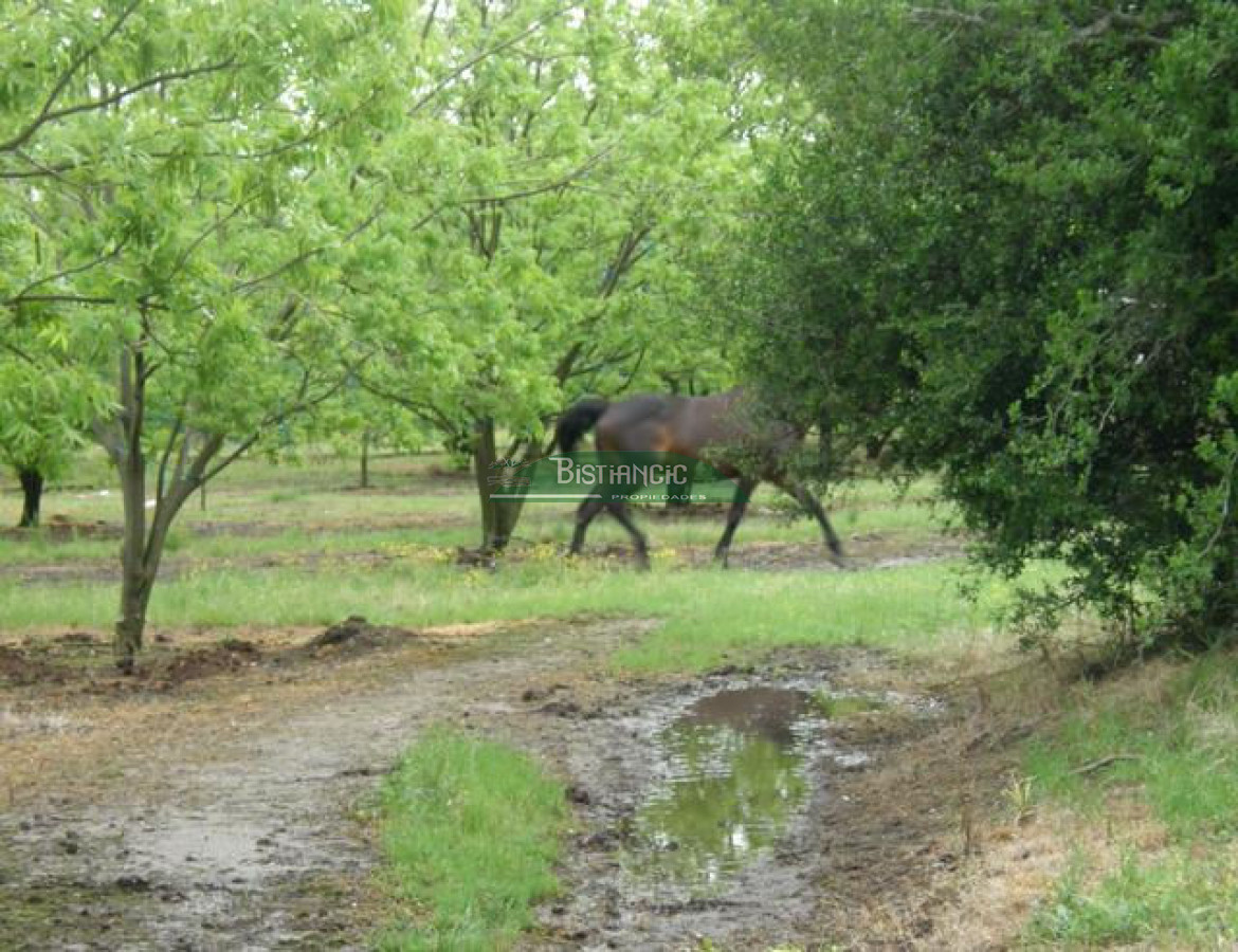 Campo Ref.2828 - Campo en , 