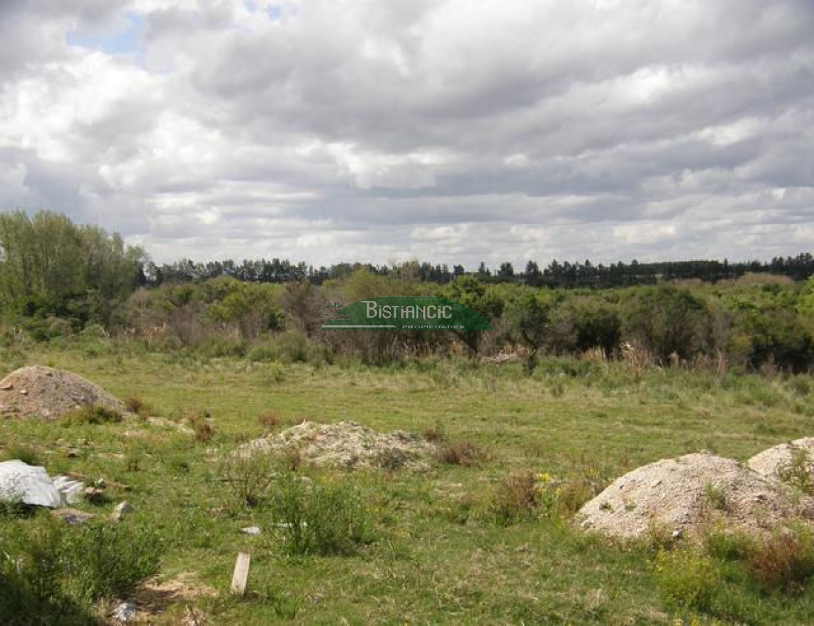 Campo Ref.2828 - Campo en , 