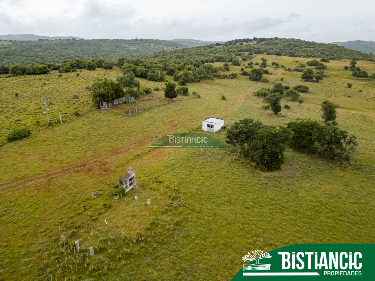 Campo Ref.2928 - Campo 54 hectáreas. Prox Aiguá, Frente sobre ruta 109 
