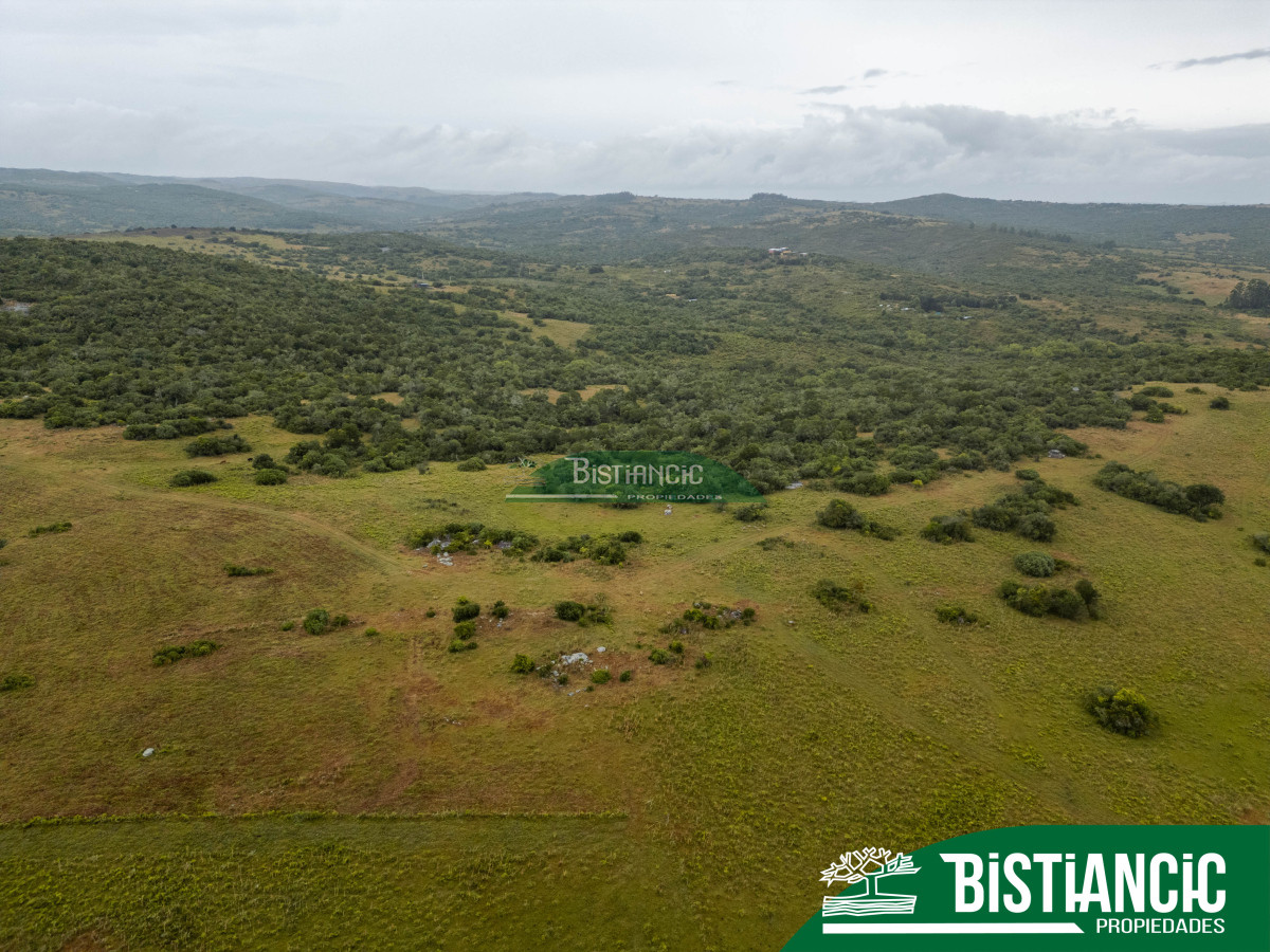Campo Ref.2928 - Campo 54 hectáreas. Prox Aiguá, Frente sobre ruta 109 