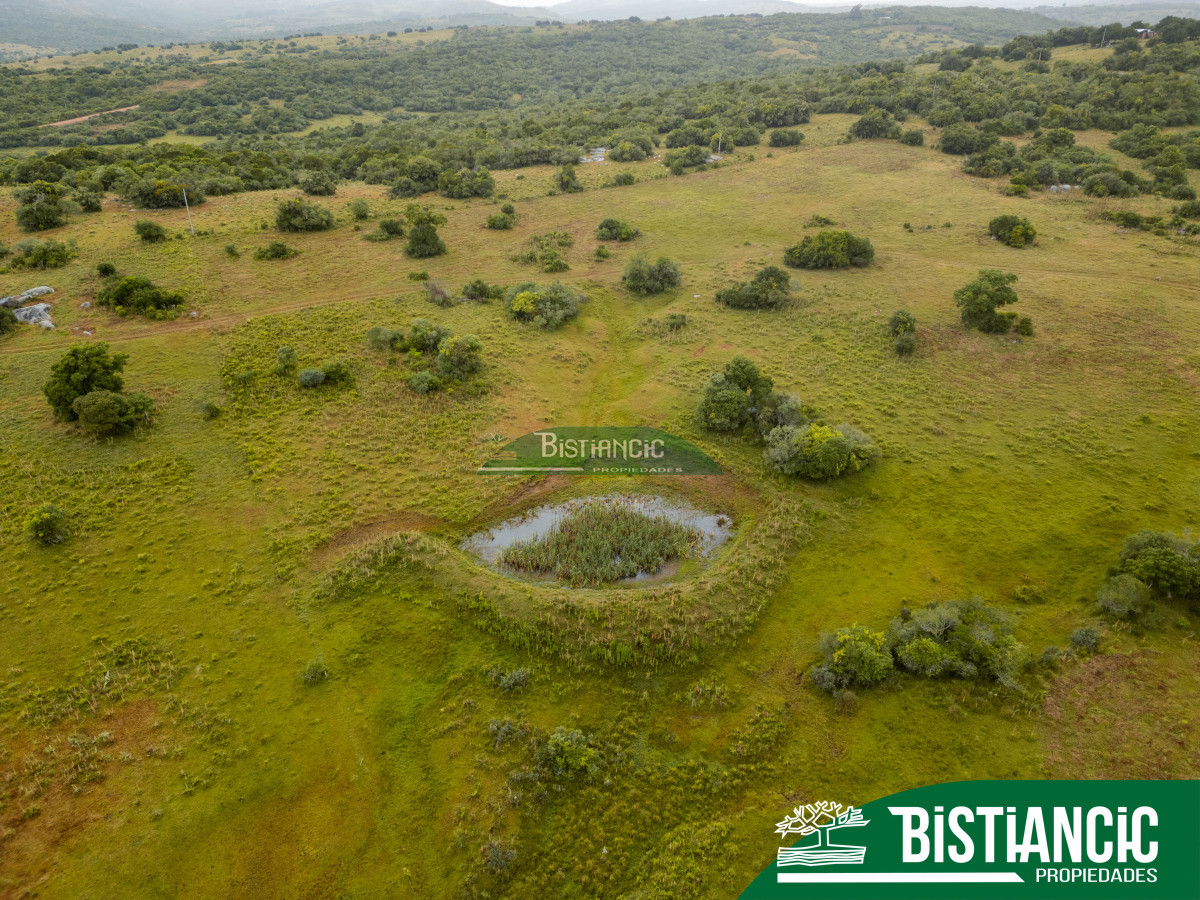Campo Ref.2928 - Campo 54 hectáreas. Prox Aiguá, Frente sobre ruta 109 