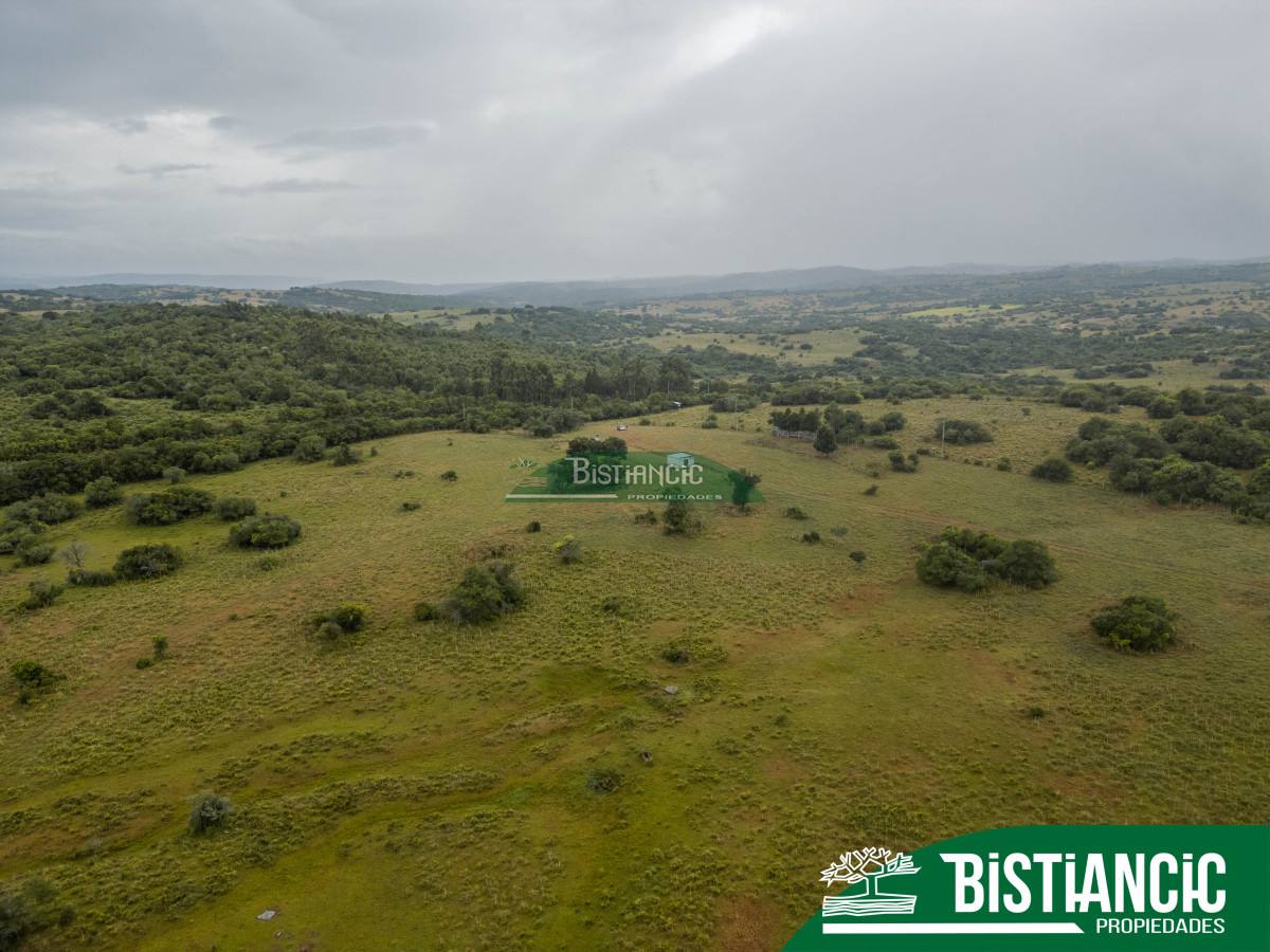 Campo Ref.2928 - Campo 54 hectáreas. Prox Aiguá, Frente sobre ruta 109 