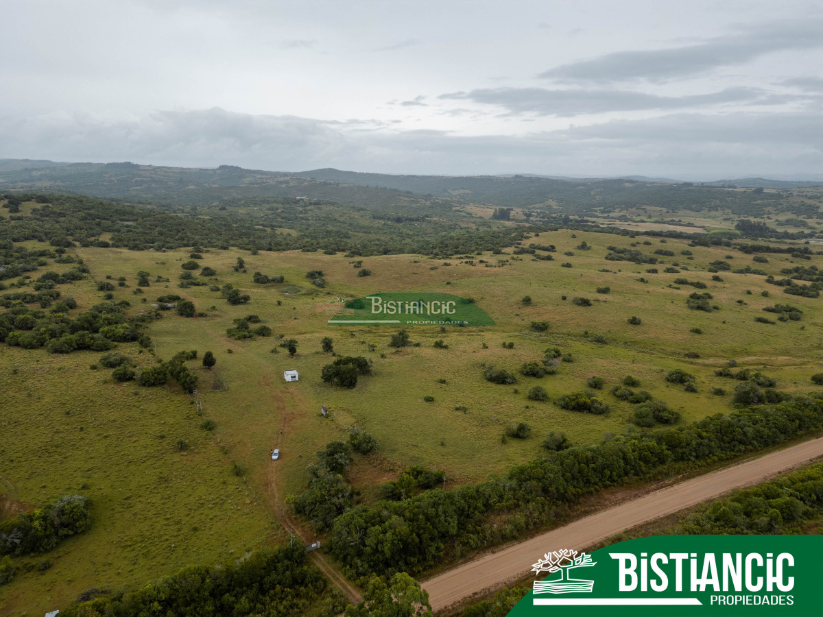 Campo Ref.2928 - Campo 54 hectáreas. Prox Aiguá, Frente sobre ruta 109 