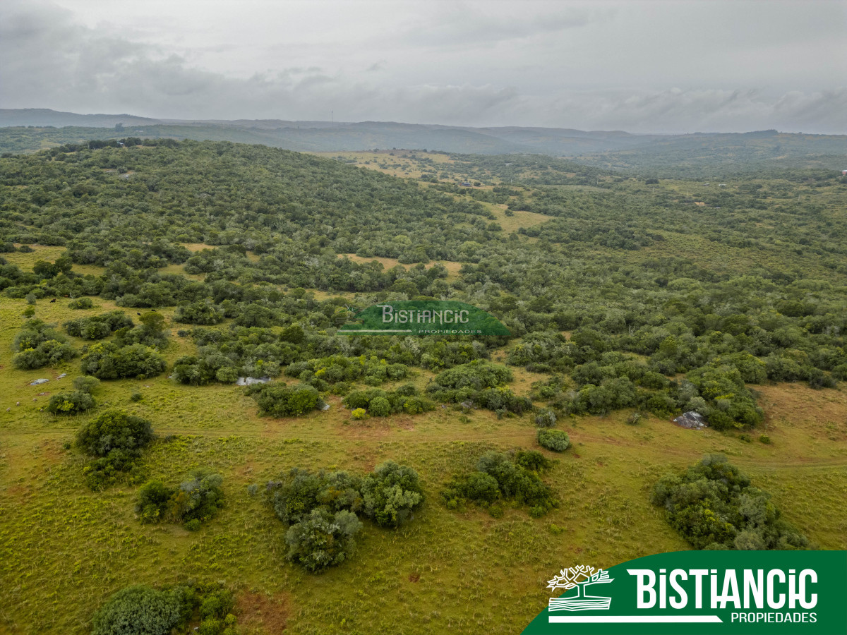Campo Ref.2928 - Campo 54 hectáreas. Prox Aiguá, Frente sobre ruta 109 