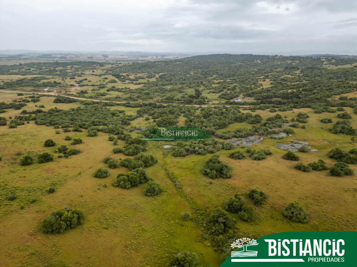 Campo Ref.2928 - Campo 54 hectáreas. Prox Aiguá, Frente sobre ruta 109 
