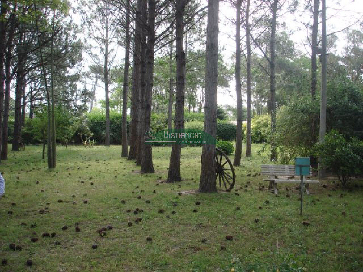 Local Comercial ID.2704 - Galpon 1300m2 en 6087 m2 terreno único en Maldonado.!!!