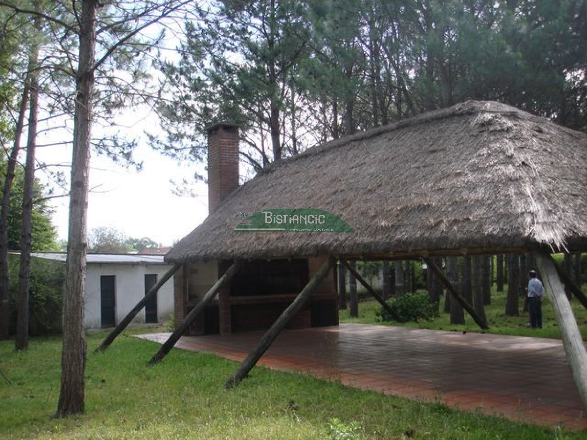 Local Comercial ID.2704 - Galpon 1300m2 en 6087 m2 terreno único en Maldonado.!!!