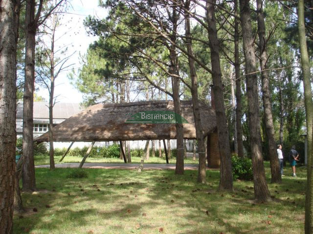Local Comercial ID.2704 - Galpon 1300m2 en 6087 m2 terreno único en Maldonado.!!!