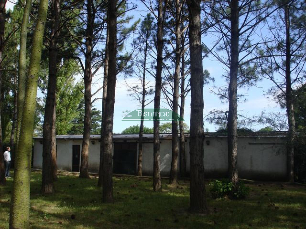 Local Comercial ID.2704 - Galpon 1300m2 en 6087 m2 terreno único en Maldonado.!!!
