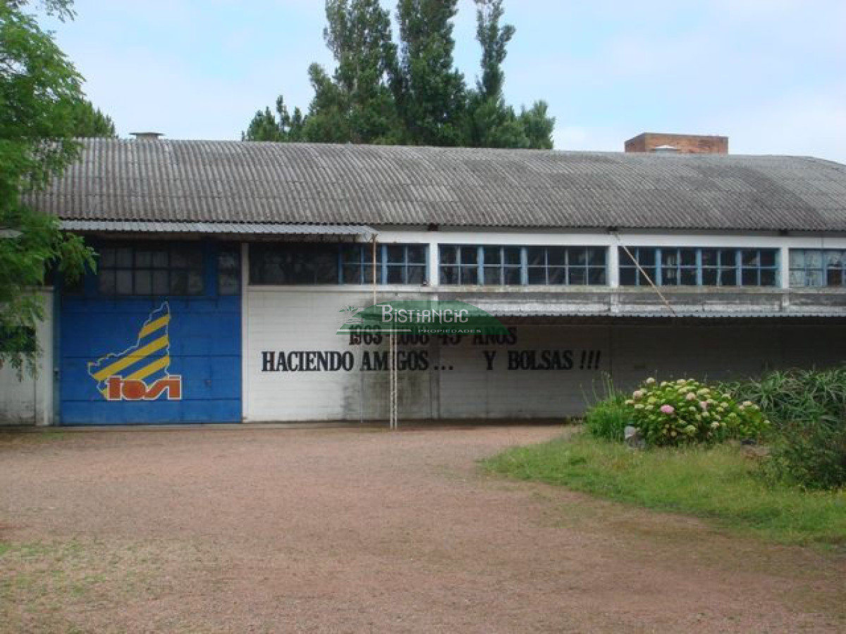Local Comercial ID.2704 - Galpon 1300m2 en 6087 m2 terreno único en Maldonado.!!!