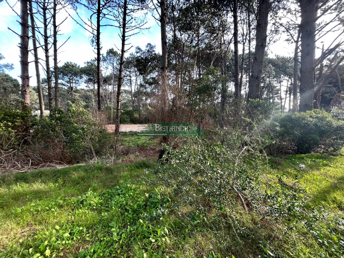Terreno ID.2862 - Terreno a pasos de la Laguna, 1766 m2 con vista, en un lugar de bosque con lindo entorno. Venta US$ 140.000.