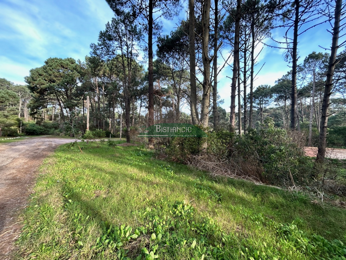 Terreno ID.2862 - Terreno a pasos de la Laguna, 1766 m2 con vista, en un lugar de bosque con lindo entorno. Venta US$ 140.000.