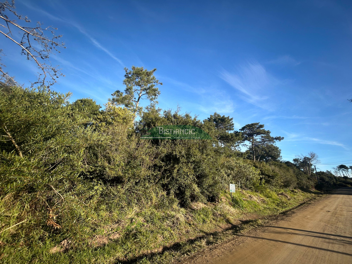 Ocean Park - GoPunta - Portal Inmobiliario de Punta del Este - Maldonado