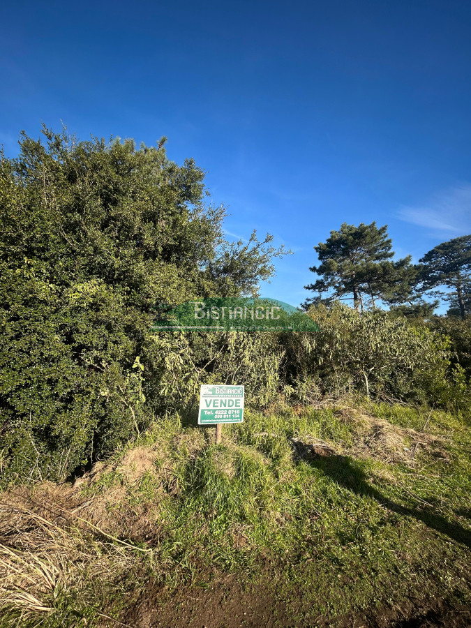 Ocean Park - GoPunta - Portal Inmobiliario de Punta del Este - Maldonado