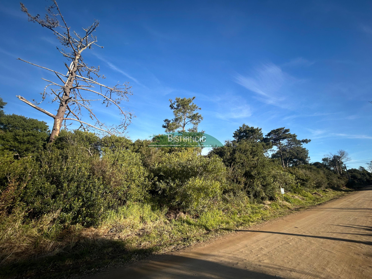 Ocean Park - GoPunta - Portal Inmobiliario de Punta del Este - Maldonado