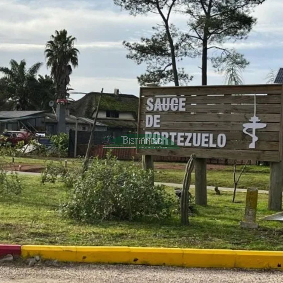 Terreno ID.3051 - Terreno en venta en Sauce de Portezuelo