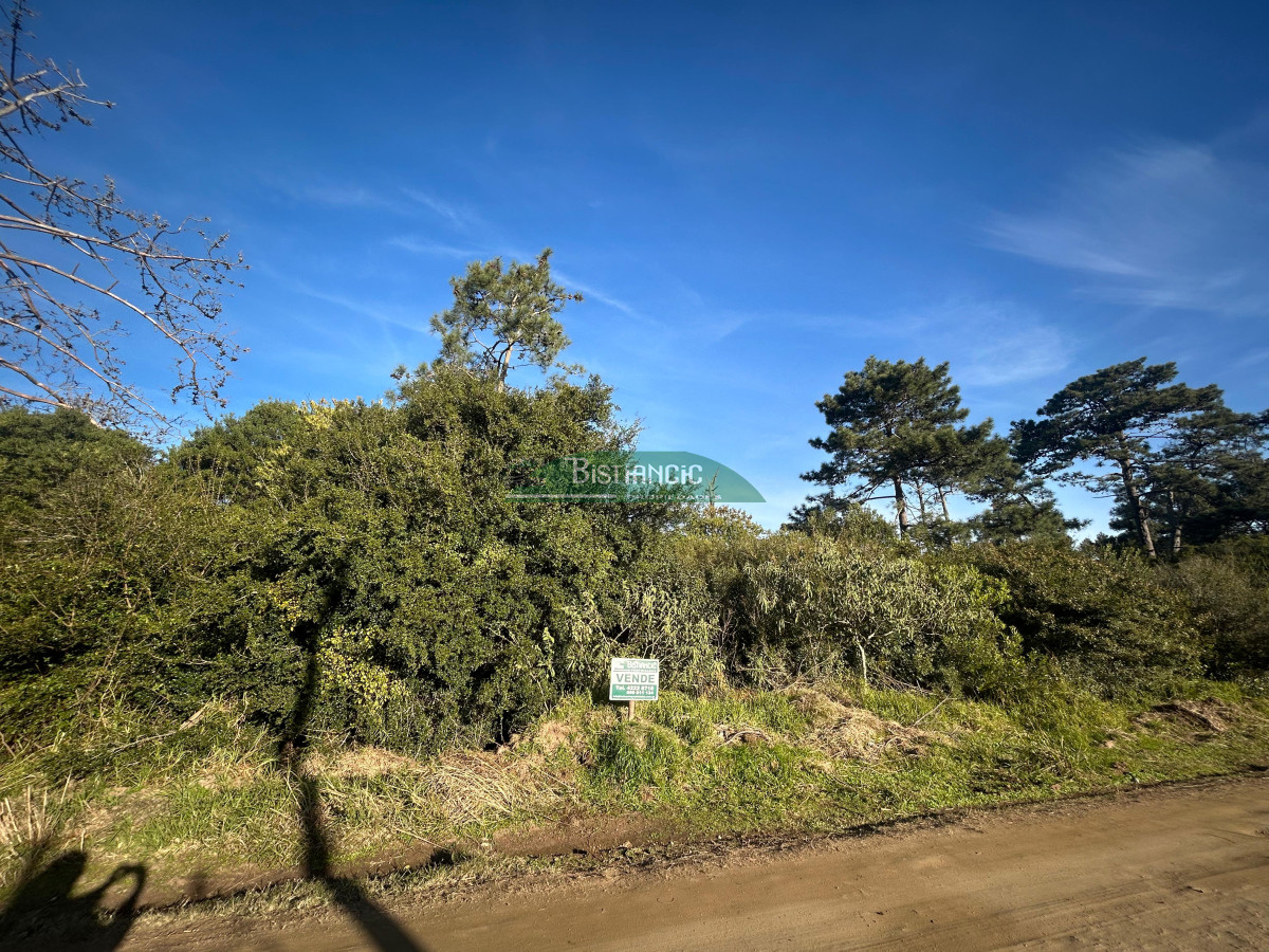 Ocean Park - GoPunta - Portal Inmobiliario de Punta del Este - Maldonado