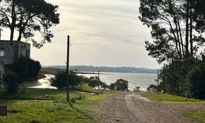 Terreno a pasos de la Laguna, 1766 m2 con vista, en un lugar de bosque con lindo entorno. Venta US$ 140.000.