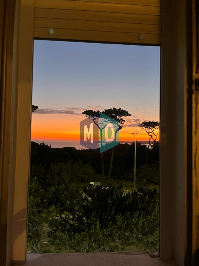 Apartamento ID.1059 - Apartamento playa mansa