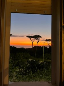 Apartamento ID.1544 - Apartamento en Punta del Este, Mansa