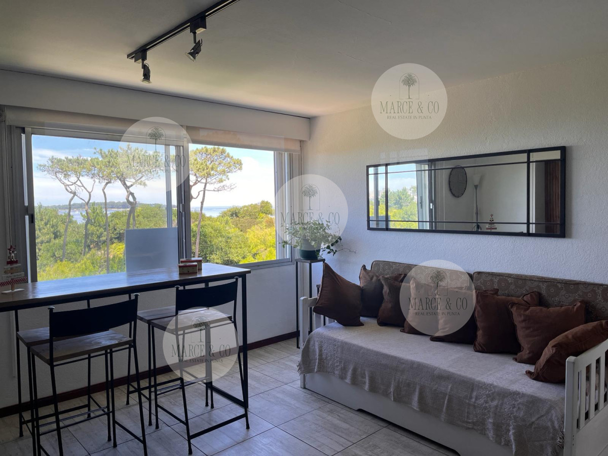 Apartamento ID.2369 - Apartamento en Punta del Este, Mansa