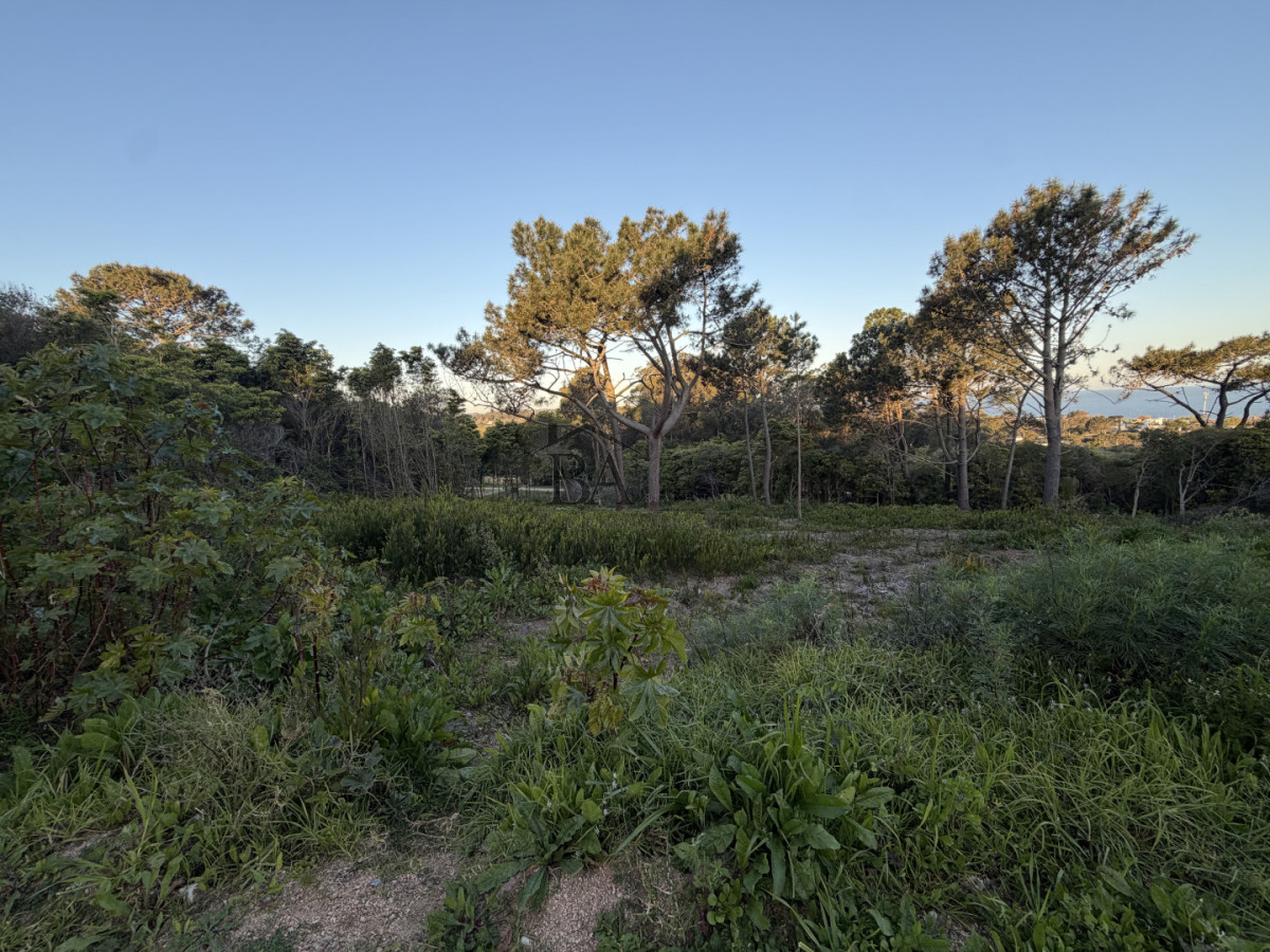 Terreno ID.175 - Lote en Punta Ballena