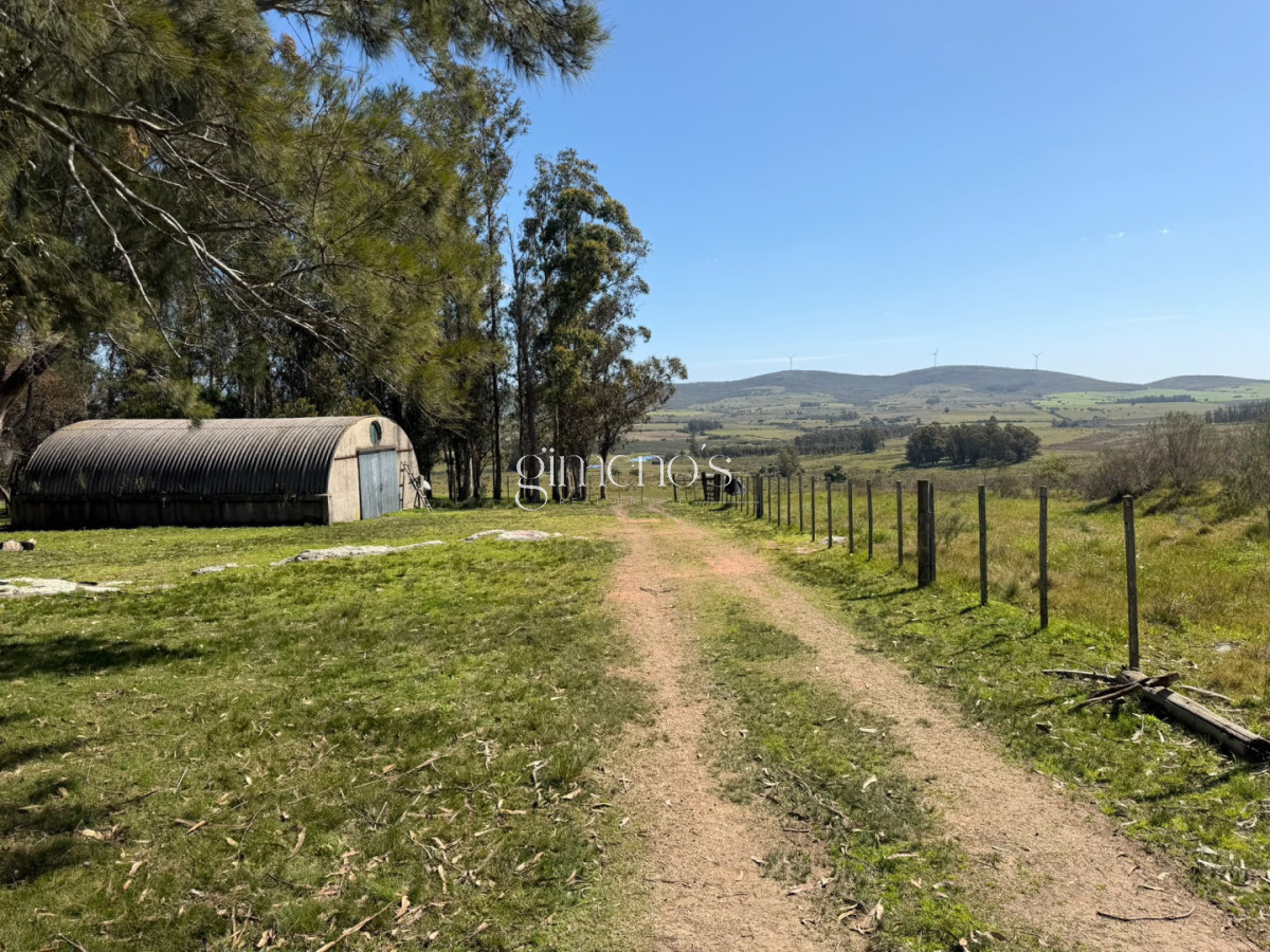 Chacra ID.1644 - Chacra 7 has en Venta - Ruta 39 - San Carlos 