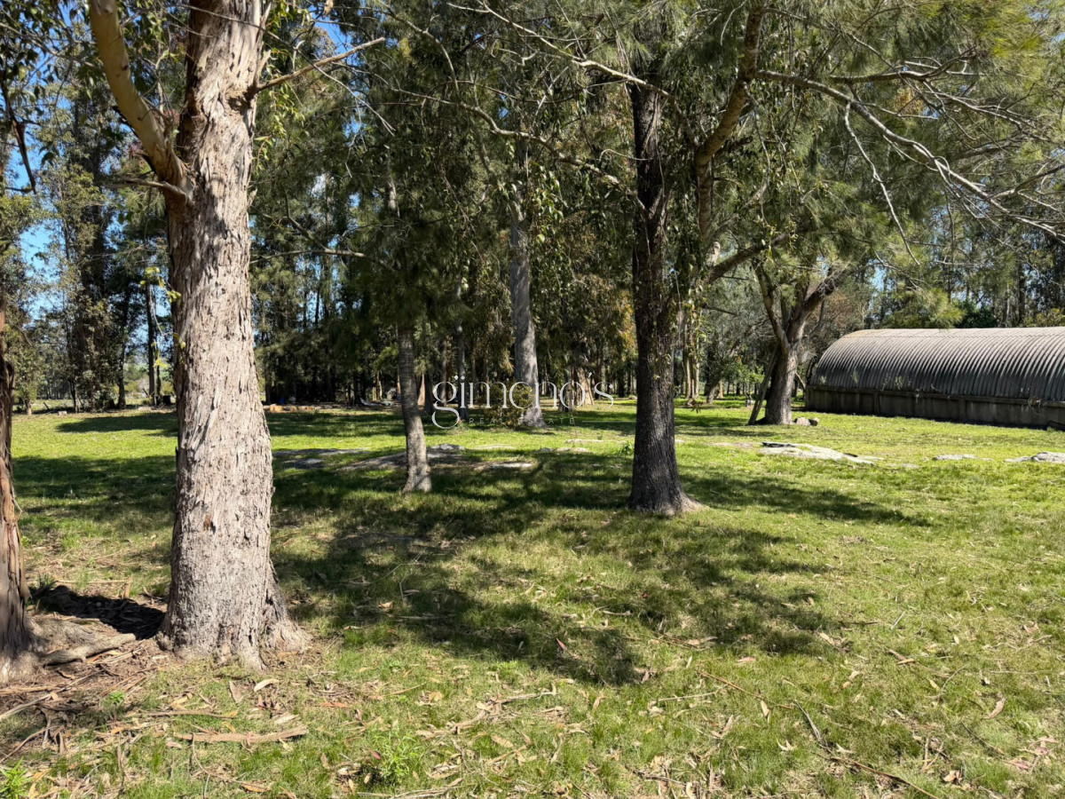 Chacra ID.1644 - Chacra 7 has en Venta - Ruta 39 - San Carlos 
