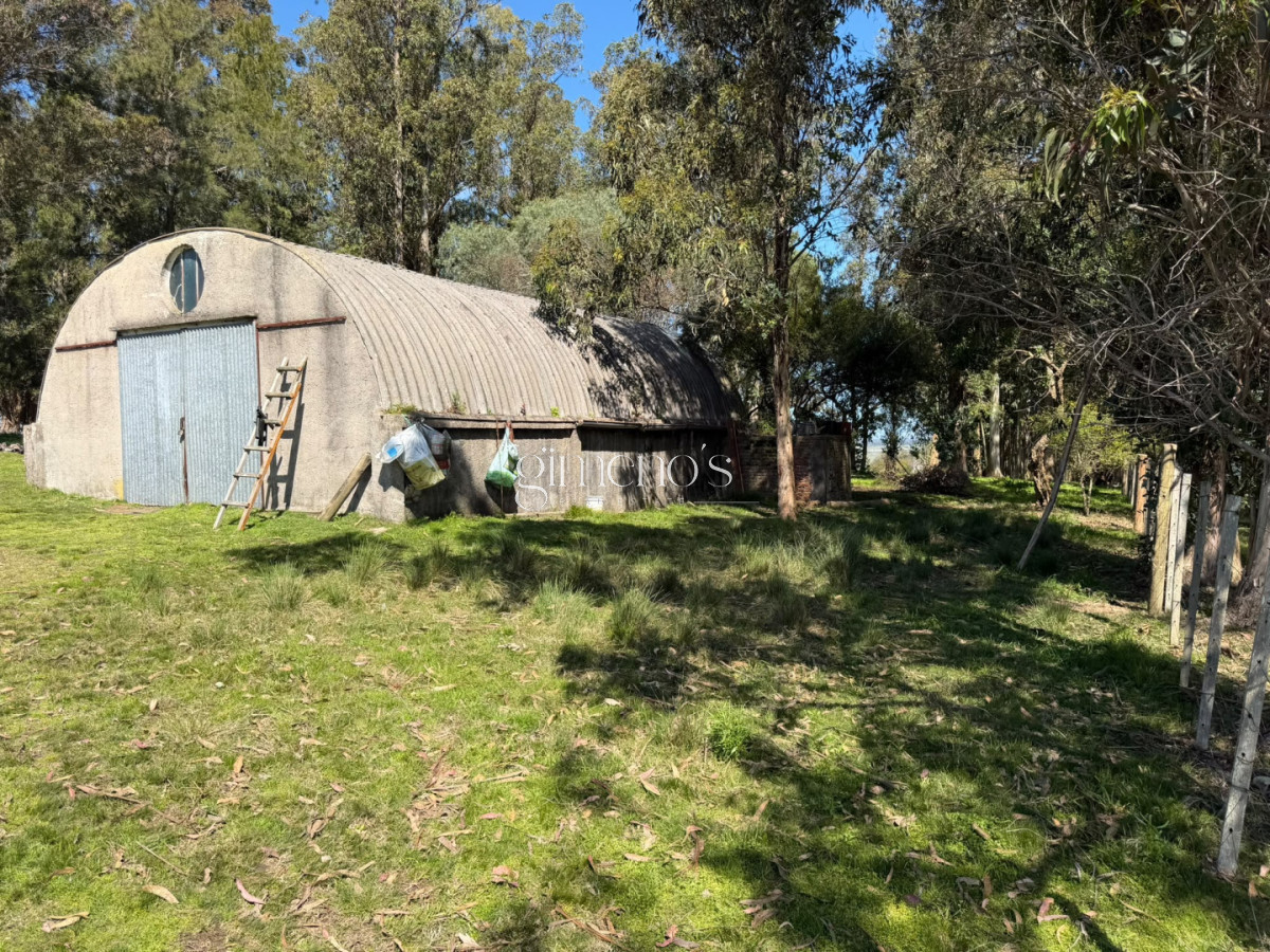 Chacra ID.1644 - Chacra 7 has en Venta - Ruta 39 - San Carlos 