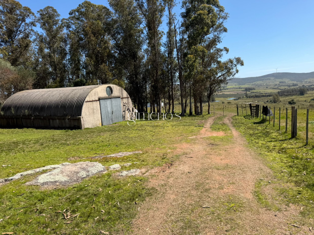 Chacra ID.1644 - Chacra 7 has en Venta - Ruta 39 - San Carlos 