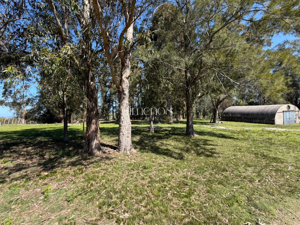 Chacra ID.1644 - Chacra 7 has en Venta - Ruta 39 - San Carlos 