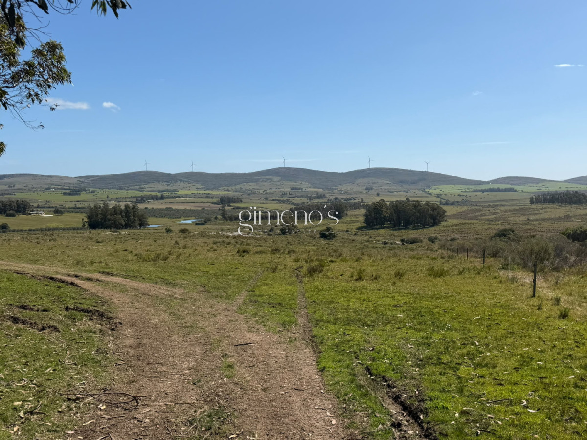 Chacra ID.1644 - Chacra 7 has en Venta - Ruta 39 - San Carlos 