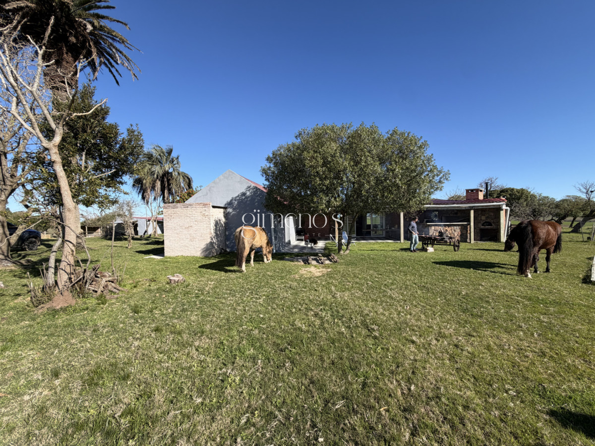 Chacra ID.1645 - Chacra en Venta de 10 has próximo a San Carlos y José Ignacio