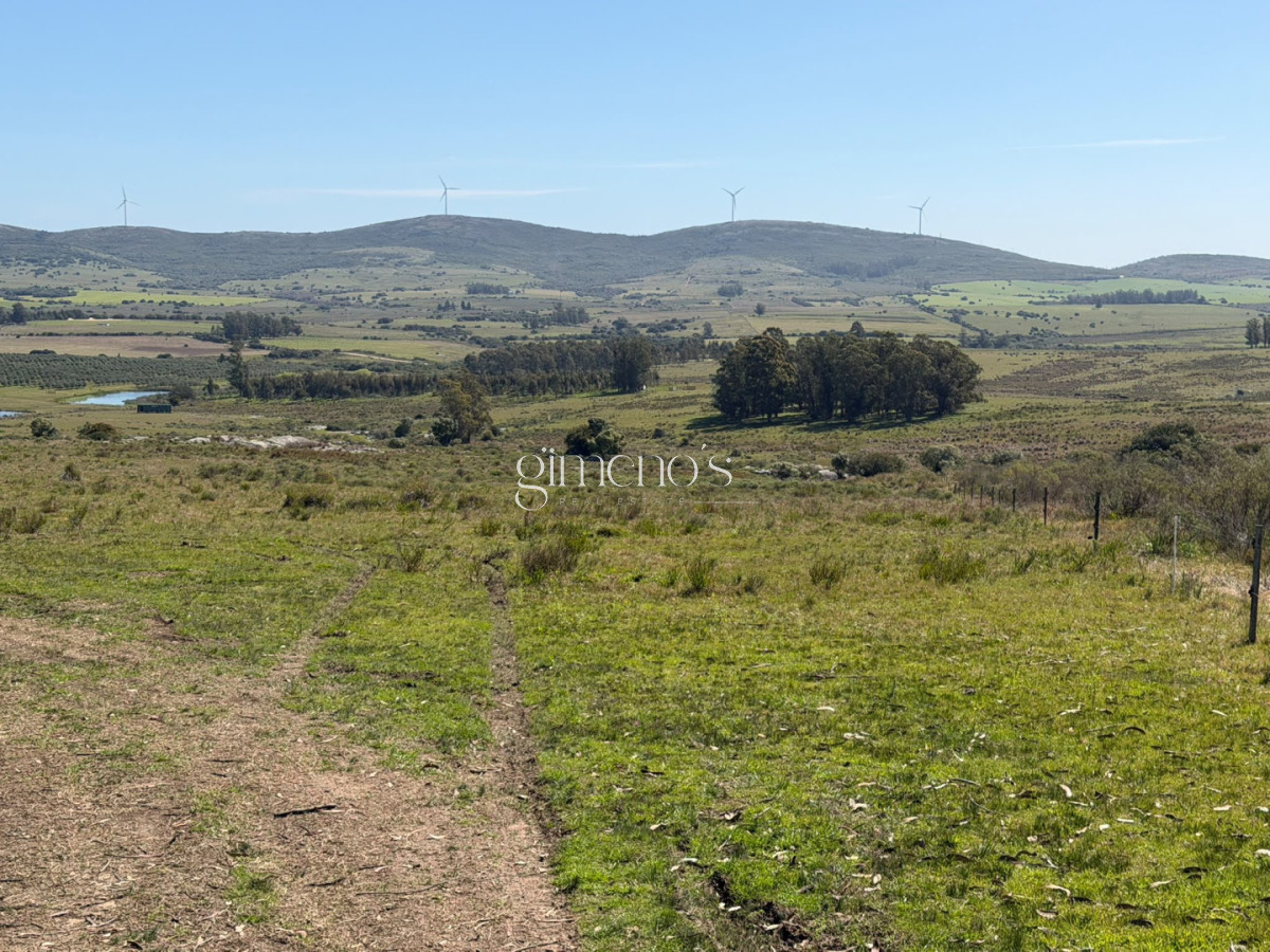 Chacra ID.1644 - Chacra 7 has en Venta - Ruta 39 - San Carlos 