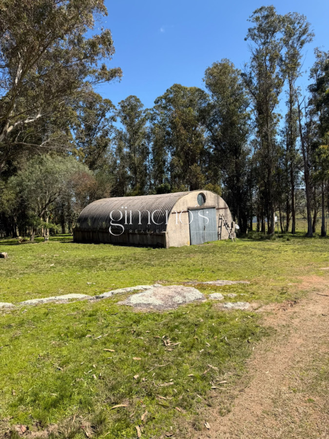 Chacra ID.1644 - Chacra 7 has en Venta - Ruta 39 - San Carlos 