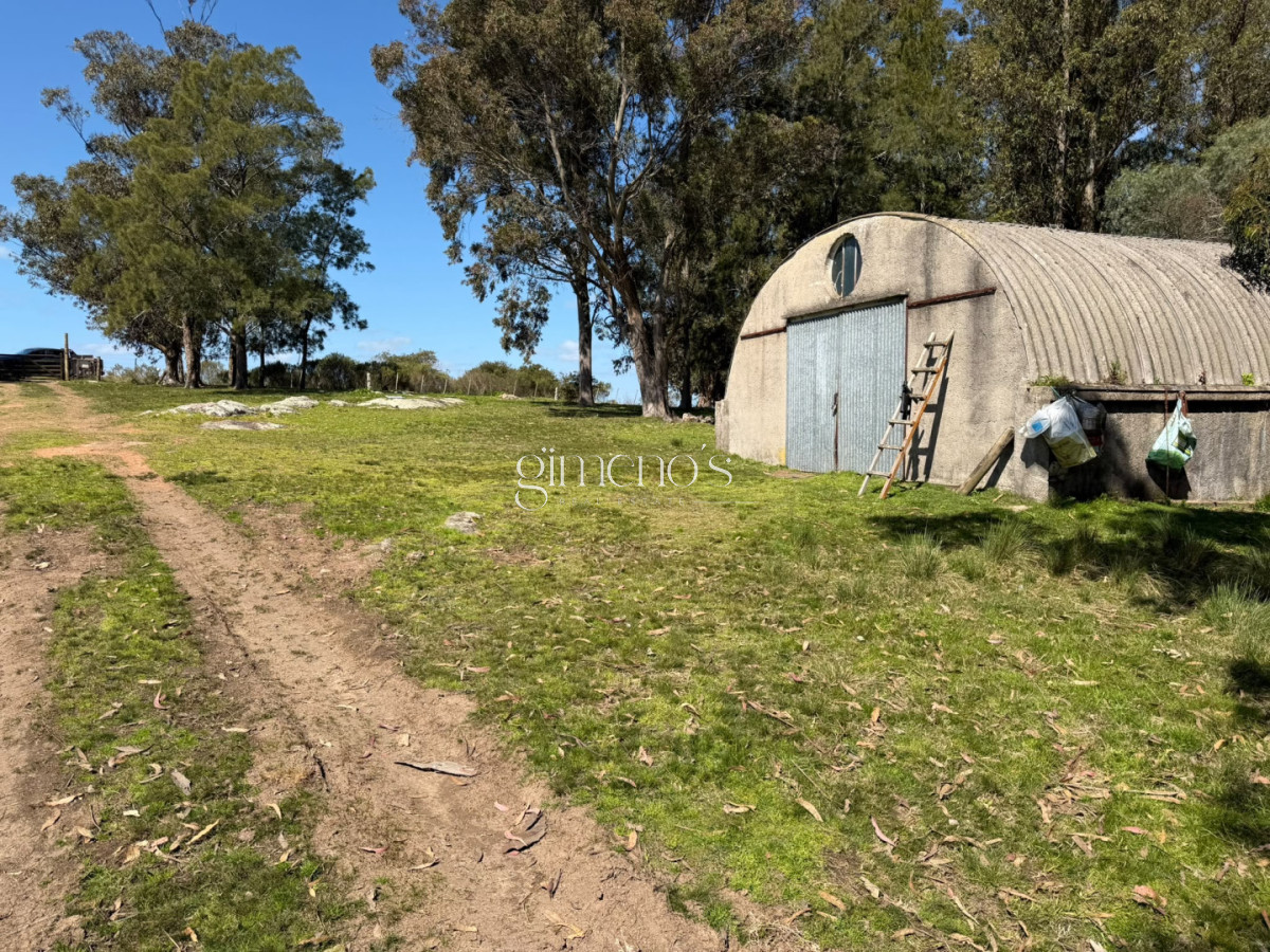 Chacra ID.1644 - Chacra 7 has en Venta - Ruta 39 - San Carlos 